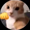xviedeos