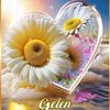 user9981987839013