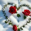 najmaparveen5018gm