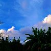 wawa._.0516