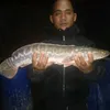 benny.truong