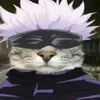 gojo_cat_meow