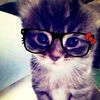 kitty_lopez_0