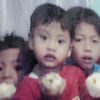 sal_farizi31