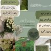 saharww288