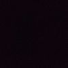 tanvir_islam400