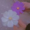 itx_jutti84