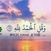 user9128185744616
