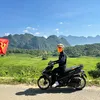 thanh_tung203