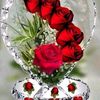 user7548143095022