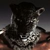 grish00228