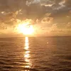 tuantuann8186