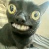 khaaiiii7