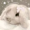 riki_12345678901