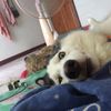 fujita.nana