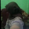 amelsakithati4