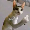 xxp_kastr2