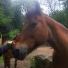 darinayaschuk3