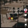 janu86956