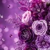 karim.wassim4