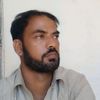 siddiqui3173
