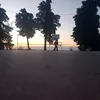 abrillarrosa5