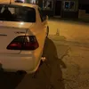 darbani495