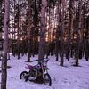 vanek_shutov