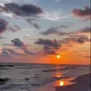 eva_pettitt