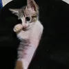baratinha.123