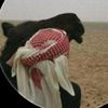 نويتكك✌🏻