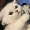 vikkki_69