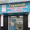 casanina16