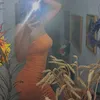 tess_gar