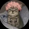 el_gato_de_sukuna_2