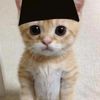 ikky_reja_vicky