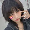 lozinhaf4