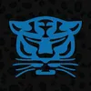 panthersnetball
