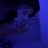 iz.it.polina.3