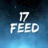 17 Feed