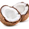 cocos_muncher
