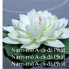 a.di.pht53