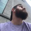 sheepdogx2