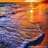 sophie.flannery5