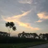 ngochuyen_532
