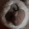 petiloulou0