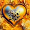 zabiolah.seraji