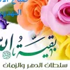hassanfaleh798
