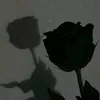 rawan21247