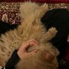 rasha.mahmoud509